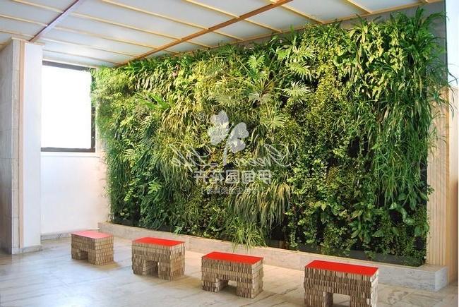 景观植物绿墙