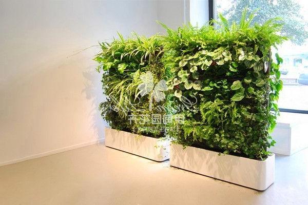立体柱植物绿墙